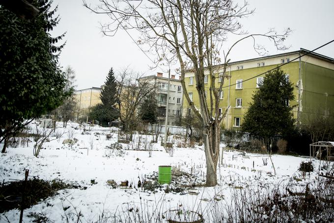 Od leta 2010 sta glede navedenega zemljišča pred Okrajnim sodiščem v Ljubljani potekala dva postopka. Karmen Stariha je pojasnila, da sta bila postopka nato združena in da se odločitev sodišča nanaša na vsa predlagana zemljišča v naselju. | Foto: Ana Kovač