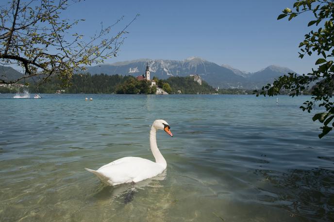 bled | Foto Reuters