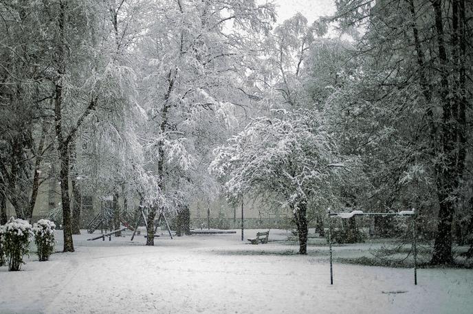 Sneg sneženje Ljubljana | V noči na nedeljo bi se lahko sneg spustil tudi do nižin. | Foto Ana Kovač