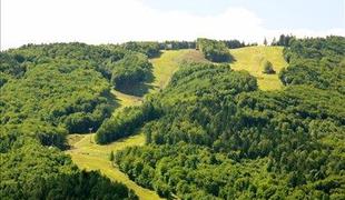 Rataja naj bi na čelu Športnega centra Pohorje zamenjal Srečko Vilar