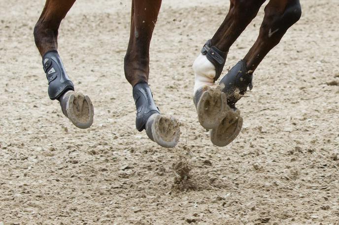 konjeništvo | Nemško konjeništvo pretresa afera. | Foto Sportida