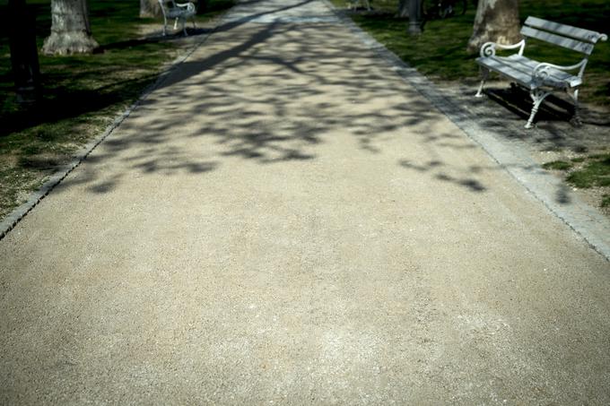 V idejni zasnovi so si po tleh zamislili betonski tlak glorit, vendar se zanj občina ni odločila zaradi slabega stanja dreves. | Foto: Ana Kovač