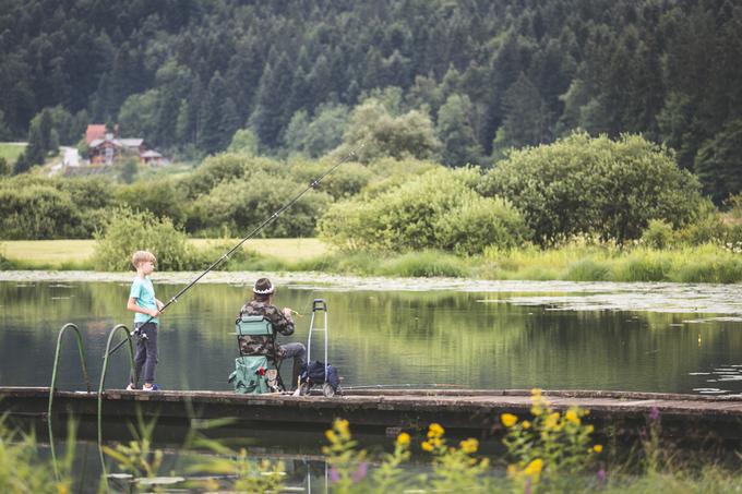 Podpeško jezero | Foto: Bojan Puhek