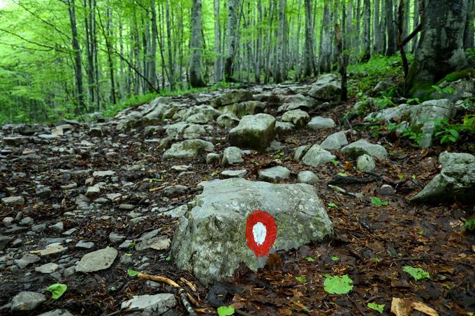 Pot s Sviščakov je lepo markirana in ni prestrma. | Foto: Matej Podgoršek