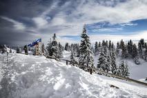 Velika planina