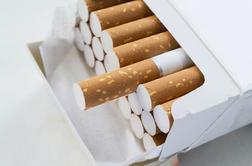 Tobačni velikan Philip Morris namerava zapreti nemške tovarne