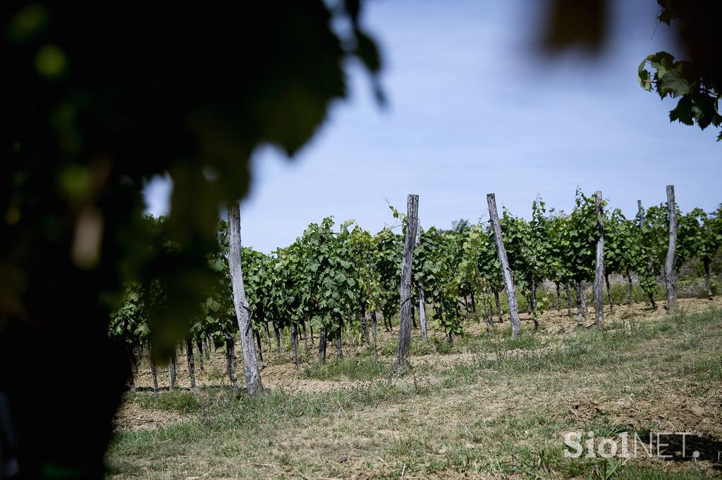 Turistična kmetija Štok Marezige