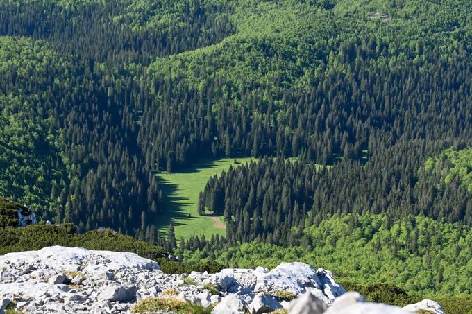 Pogled na jaso na južnih pobočjih | Foto: Matej Podgoršek