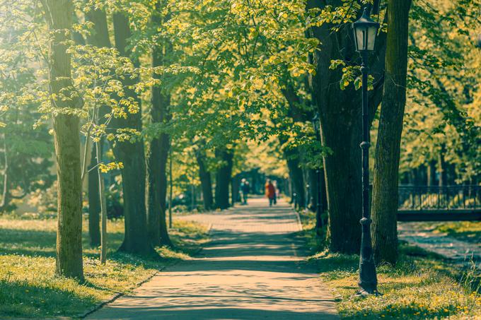 Zelene sprehajalne poti v najbolj znanem zdravilišču v Srbiji - za oddih po napornem popotovanju | Foto: Thinkstock