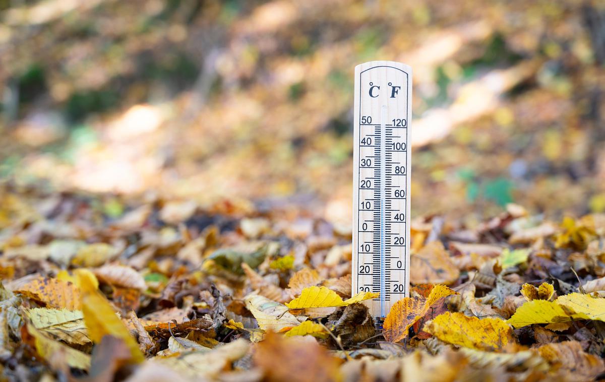 topel november | Zunaj Evrope so povprečje najbolj presegle temperature nad vzhodno Kanado ter osrednjim in vzhodnim delom ZDA, večjim delom Mehike, Maroka, severozahodne Afrike, Kitajske, Pakistana, večjim delom Sibirije in Avstralije. | Foto Guliverimage