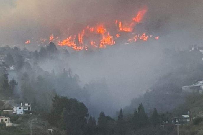 La Palma | Foto Reuters