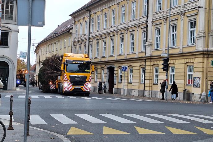 prevoz smreke v Ljubljani | Foto Nataša Repovž​​​​​​​