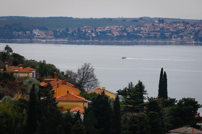 Arbitraža | Poslanci poudarjajo, da alternative implementaciji arbitražne razsodbe ni. | Foto STA