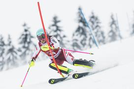 Zlata lisica, slalom