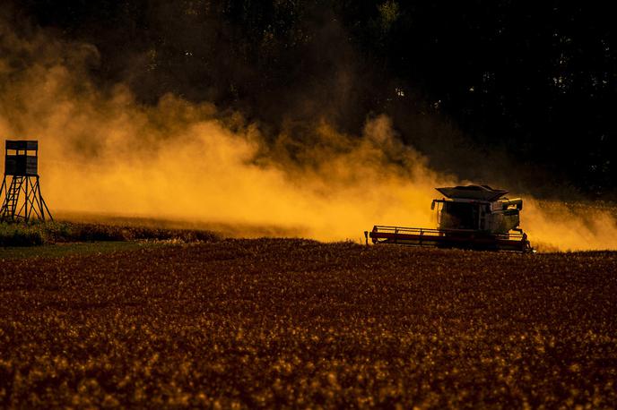 Kombajn, njiva, pšenica | Vse kaže na to, da se bo izvoz ukrajinskega žita prek Črnega morja lahko nadaljeval nemoteno.  | Foto Guliver Image