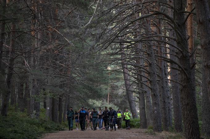 Iskalna akcija je končana. | Foto: Getty Images