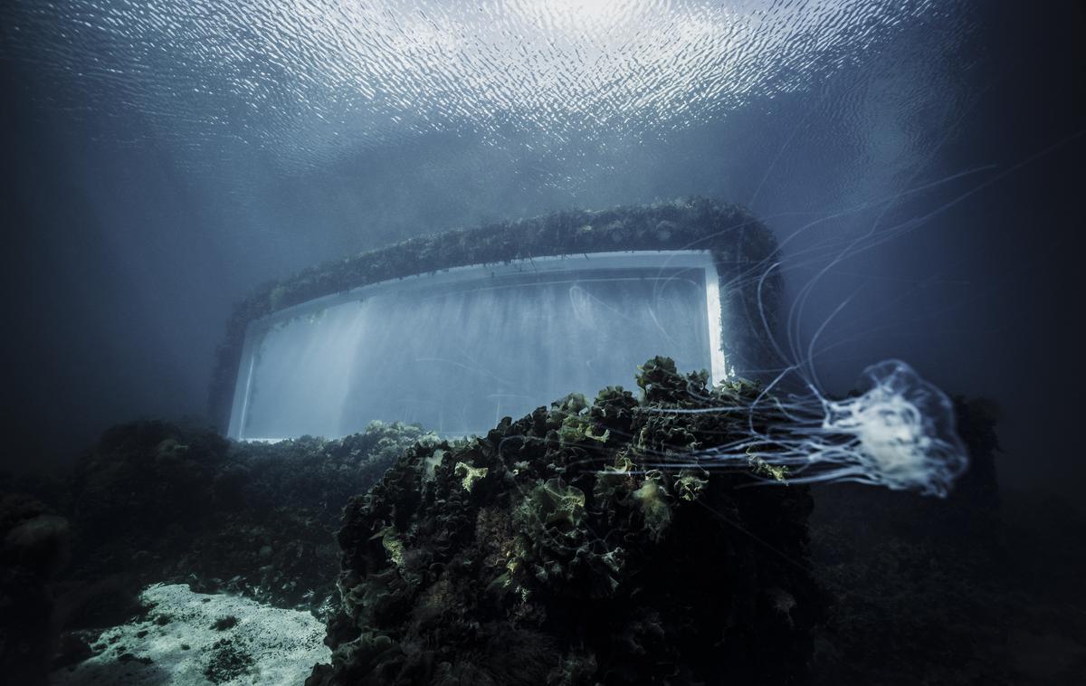 Under restavracija | Foto Timon Koch/Snøhetta/Cover Images