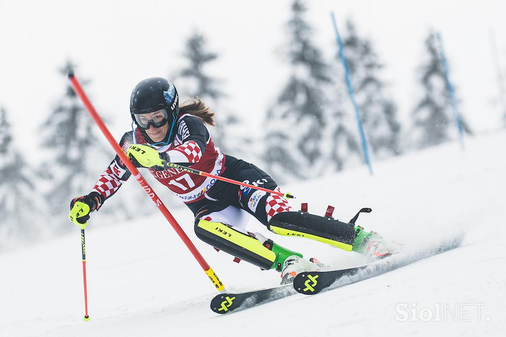 Zlata lisica, slalom