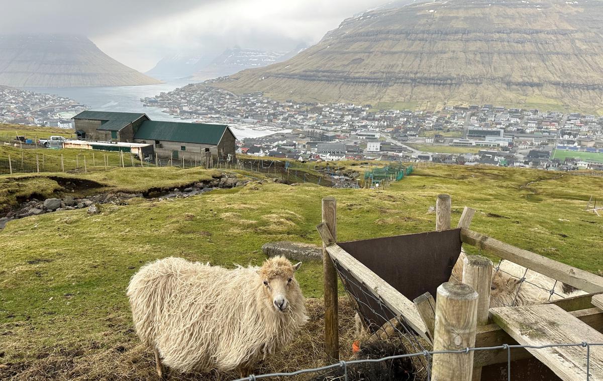 KI Klaksvik | Klaksvik je drugo največje mesto na Ferskih otokih, sicer uradnim ozemljem Danske, ki pa uživa samoupravo in lahko igra nogomet kot samostojna članica Evropske nogometne zveze (Uefa). | Foto Guliverimage