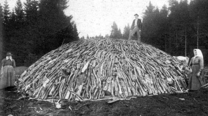 Pred premogom sta bila glavna energetska vira les in njegova izvedenka oglje. Na fotografiji: oglarska kopa iz okoli leta 1890. Kraj fotografije ni znan. Množična raba lesa in oglja kot energetskih virov je posledično vodila v veliko izsekavanje gozdov. Prehod na premog je tako preprečil preveliko krčenje gozdov. | Foto: Wikimedia Commons