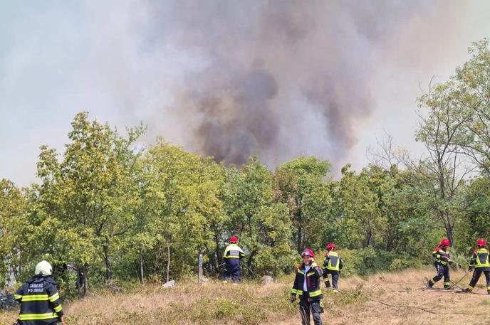 požar Kras, Veliki Ovčnjak | "Z obnovo gozdov bomo preprečili erozijske procese, strukturno slabšanje tal, razraščanje invazivnih tujerodnih vrst dreves in rastlin, z vnašanjem avtohtonih drevesnih vrst pa bomo tudi pospešili razvoj gozda, ki bo sposoben tvoriti svojo lastno mikroklimo in bo z večanjem humidnosti zmanjševal požarno ogroženost krajine," je poudaril Gregor Danev, direktor zavoda za gozdove. | Foto Uprava RS za zaščito in reševanje