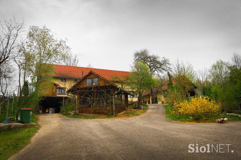 Herman Kisilak Čebelji gradič med čebele kmetija turizem Prekmurje Rogašovci