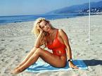 Pamela Anderson, The Baywatch