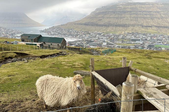 KI Klaksvik | Klaksvik je drugo največje mesto na Ferskih otokih, sicer uradnim ozemljem Danske, ki pa uživa samoupravo in lahko igra nogomet kot samostojna članica Evropske nogometne zveze (Uefa). | Foto Guliverimage