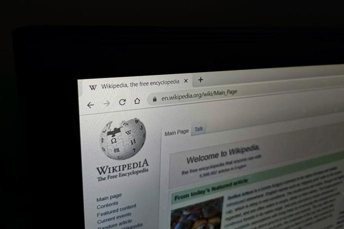 Wikipedija | Spletna enciklopedija Wikipedija je daleč najbolj prepoznavna in obiskana stran, ki gostuje na vrhnji internetni domeni .org. Nekatere druge so še wordpress.org, craigslist.org, mozilla.org, 4chan.org, thepiratebay.org. | Foto Matic Tomšič