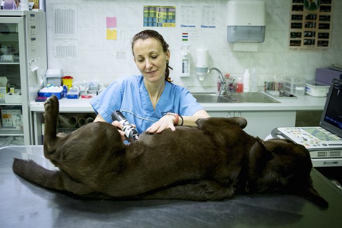 veterinarka Urška Drobnič | Foto: Ana Kovač