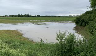 Neurje prizadelo območja občin Šentilj, Ormož, Ptuj in Hajdina