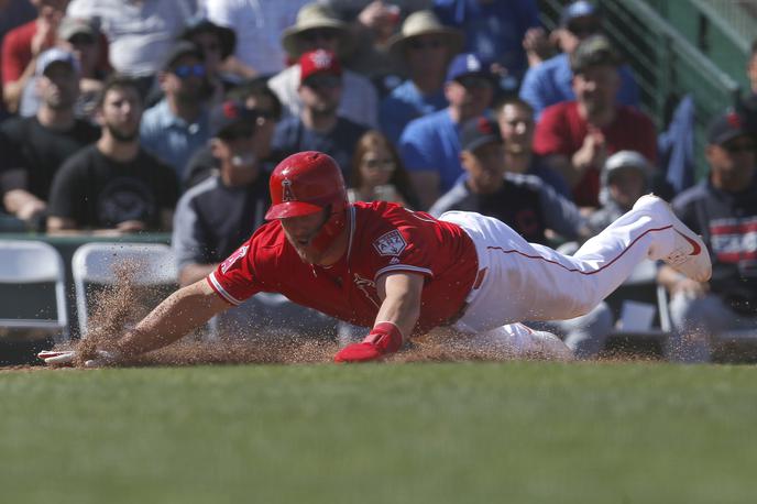 Mike Trout | Se Miku Troutu obeta največja pogodba v zgodovini športa? | Foto Reuters