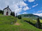 Ojstrnik Bistriška planina