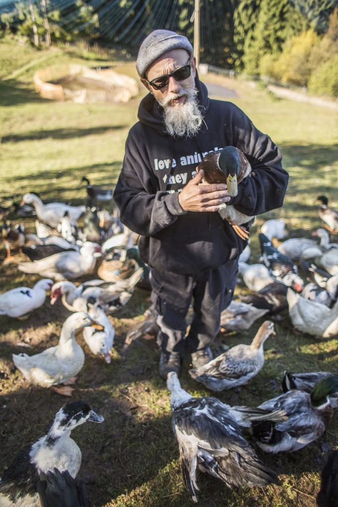 "Če Švedsko in Slovenijo primerjate glede hrane in kmetijstva, je Slovenija raj. Na to morate resnično zelo paziti in to ceniti, ker takšnih krajev ni več veliko." | Foto: Matej Leskovšek