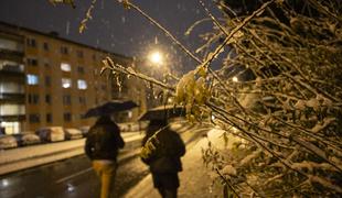 Sneg povzročal preglavice, v Vojskem nad Idrijo ga je zapadlo skoraj 20 centimetrov #foto