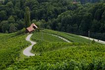 Turistična kmetija Dreisiebner, Srce med vinogradi, Špičnik