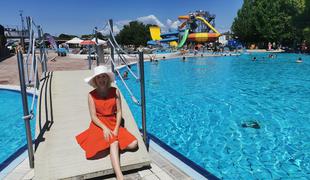 Na Bizeljsko, kjer so imeli dinozavri najlepše peščene plaže #video