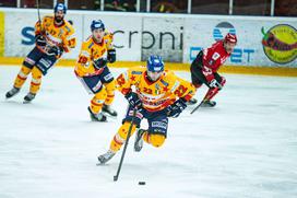 HDD Jesenice Asiago 4. finalna tekma Alpska liga