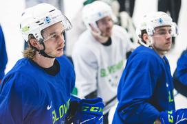 slovenska hokejska reprezentanca, trening, Bled