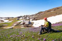 velika planina