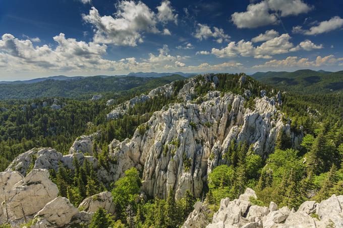 htz kvarner | Foto: Zoran Jelača