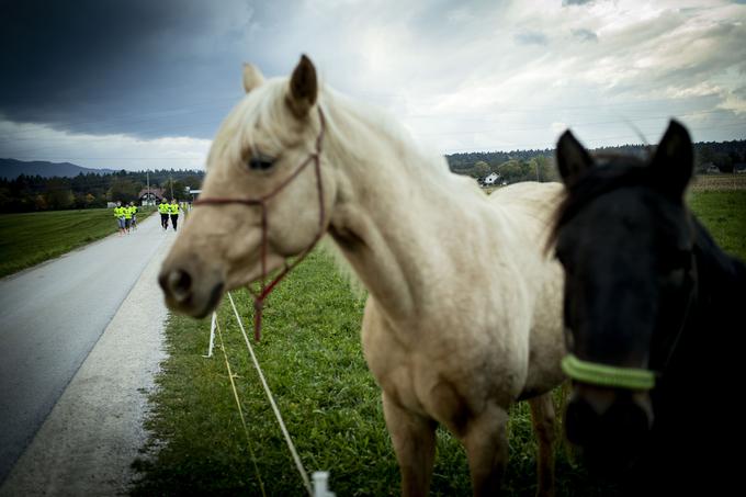 Anine tekačice so virtualno desetko pretekle v dveh ravninskih petkilometrskih krogih med Križami in Žiganjo vasjo. | Foto: Ana Kovač