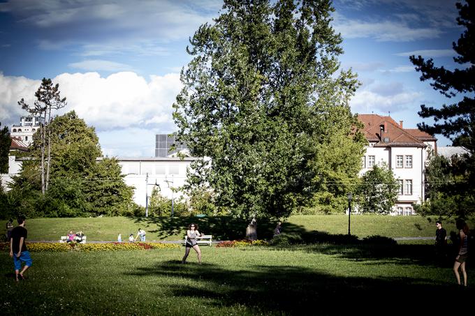 Metanje frizbija ... | Foto: Ana Kovač