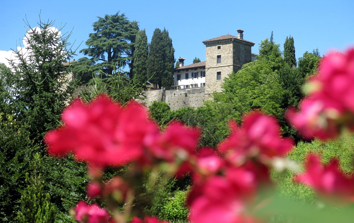 Ocena gostilne: Aquila d'Oro | Foto Miha First