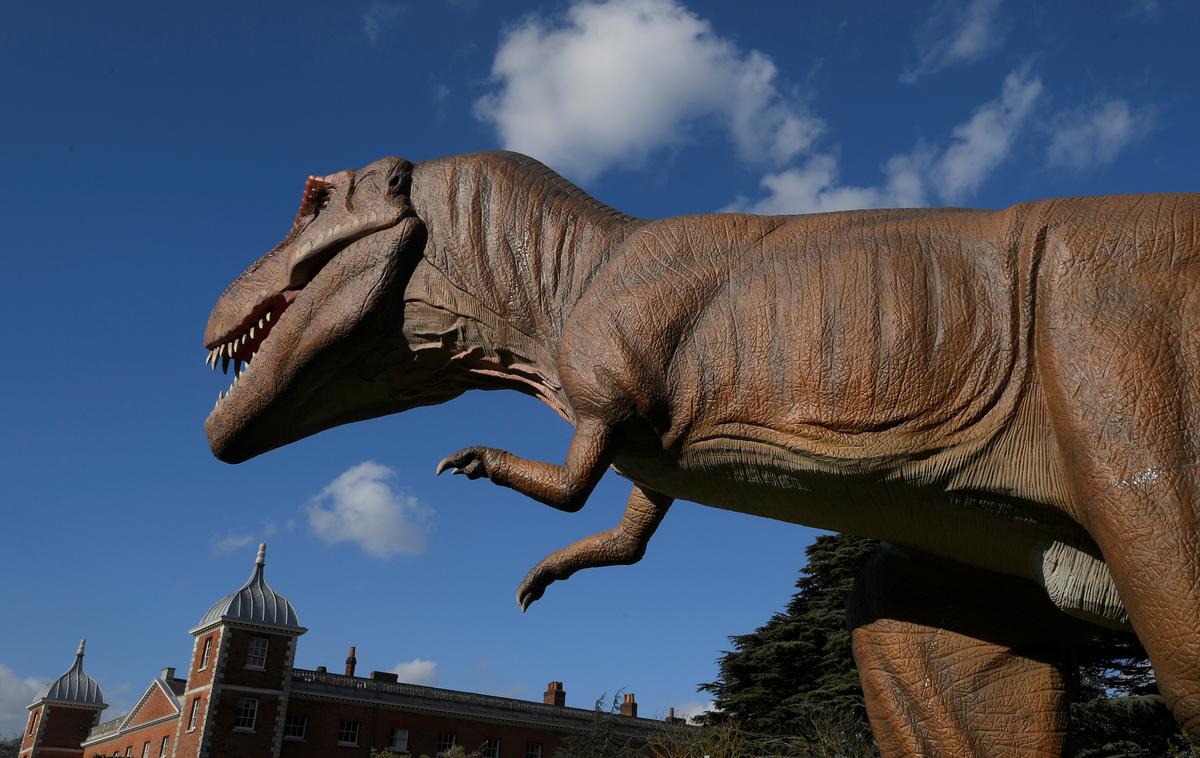 dinozaver | Foto Reuters