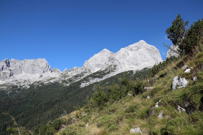 Levo od Jalovca in Velikega Ozebnika že opazimo skalnato ostrico, Špiček. | Foto: Matej Podgoršek