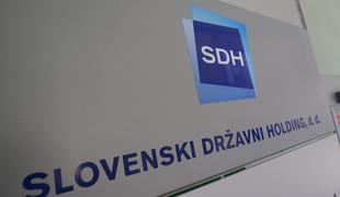 Stranka SD hoče spremeniti zakon o SDH