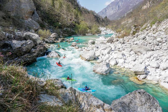 Rok Rozman Soča | Foto: Osebni arhiv