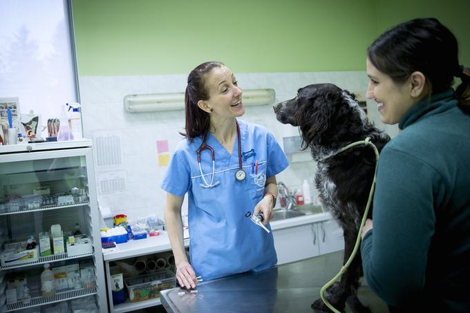 "Veterinarji smo kot pediatri, saj nam pacienti ničesar ne povedo, zato se moramo zanašati predvsem na njihove lastnike." | Foto: Ana Kovač