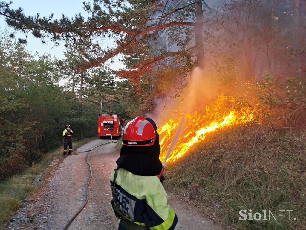 Požar na Krasu